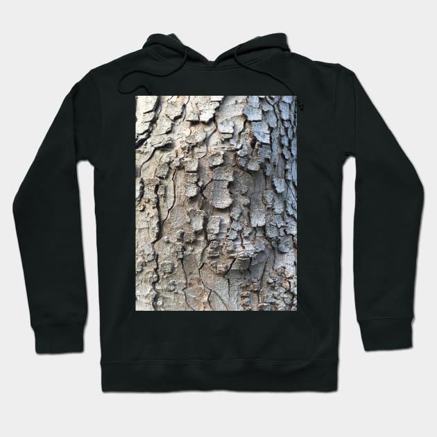 Bark - Plane #5 Hoodie by Dpe1974